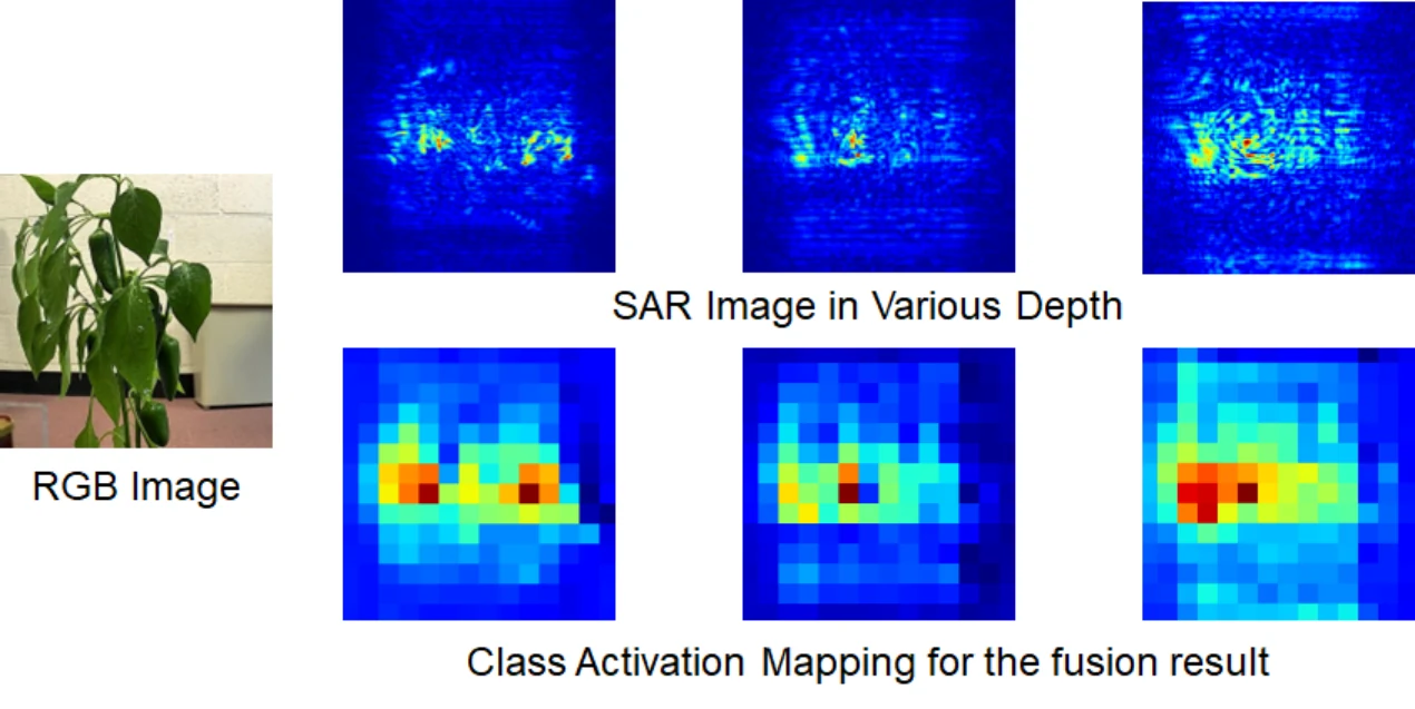 Hydra RGB image, radar depth images and class activation maps